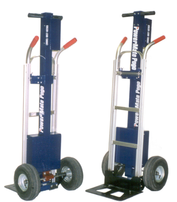 P-1 Model
